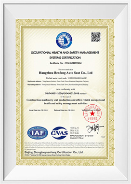 Sistem de management al sănătății și siguranței-EN